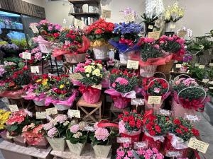 5月14日は母の日です^^|「フラワーショップきたがわ」　（愛知県大府市の花屋）のブログ